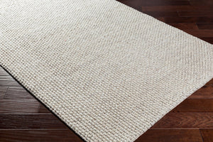 Livabliss Lucerne Handwoven Wool Blend Flatweave Area Rug for Living Room or Dining Space Light Gray 2' x 3' LNE1002-23