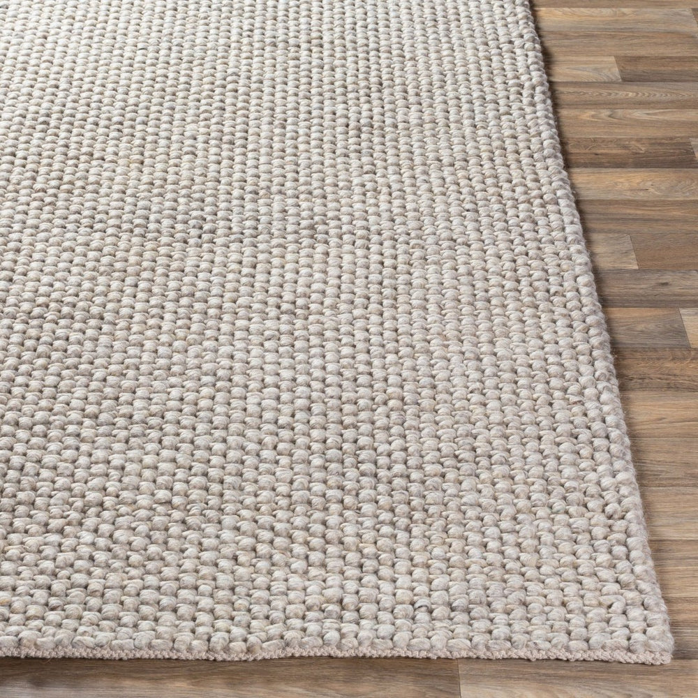 Livabliss Lucerne Handwoven Wool Blend Flatweave Area Rug for Living Room or Dining Space Light Gray 2'6" x 8' LNE1002-268