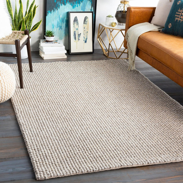 Livabliss Lucerne Handwoven Wool Blend Flatweave Area Rug for Living Room or Dining Space Light Gray 2' x 3' LNE1002-23