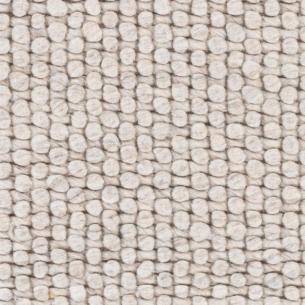 Livabliss Lucerne Handwoven Wool Blend Flatweave Area Rug for Living Room or Dining Space Light Gray 2' x 3' LNE1002-23