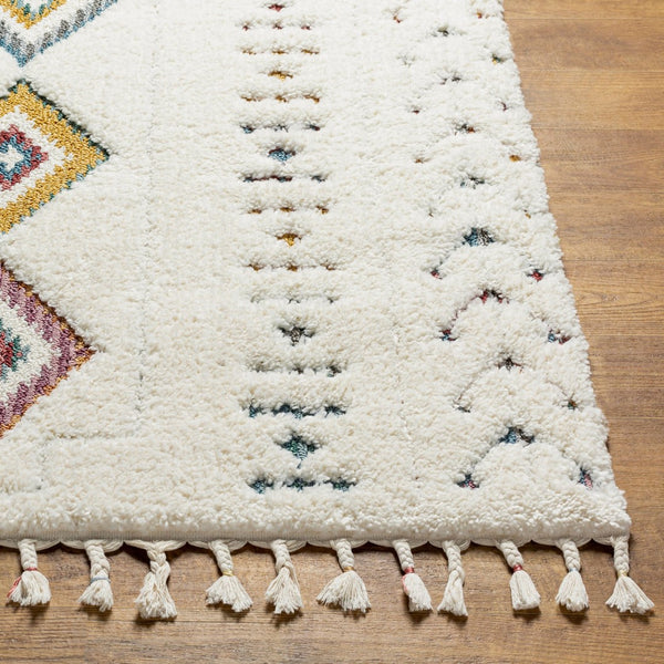 Livabliss Lofty Bohemian Polypropylene Accent Rug Machine Woven in Turkey for Eclectic Interiors LOF2303-2211