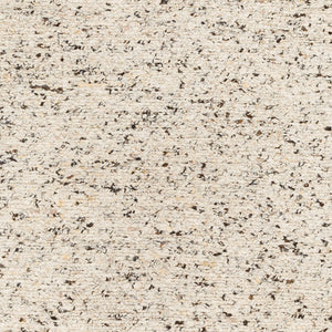 La Palma LPL-2302 9' x 12' Handmade Rug LPL2302-912  Dark Brown, Light Brown, Light Beige, Tan Surya