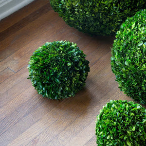 Preserved Boxwood Ball, 10" EBD80084 Park Hill