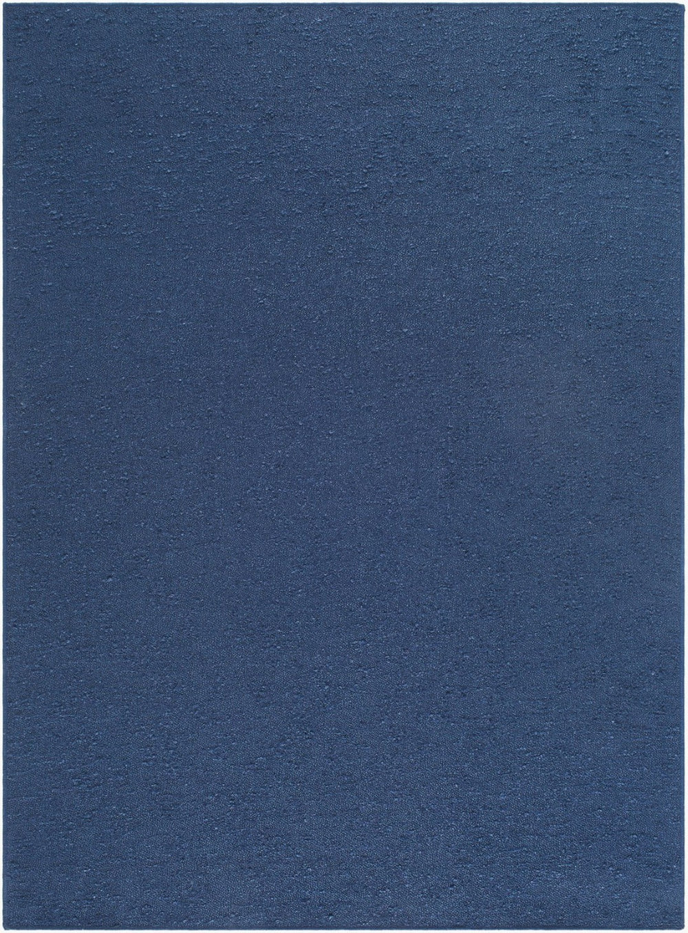 Livabliss Lush Handwoven Polyester Shag Accent Rug Soft Low Profile for Entryway or Bath Indigo, Midnigh 9' x 12' LSH2304-912