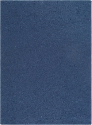 Livabliss Lush Handwoven Polyester Shag Accent Rug Soft Low Profile for Entryway or Bath Indigo, Midnigh 9' x 12' LSH2304-912