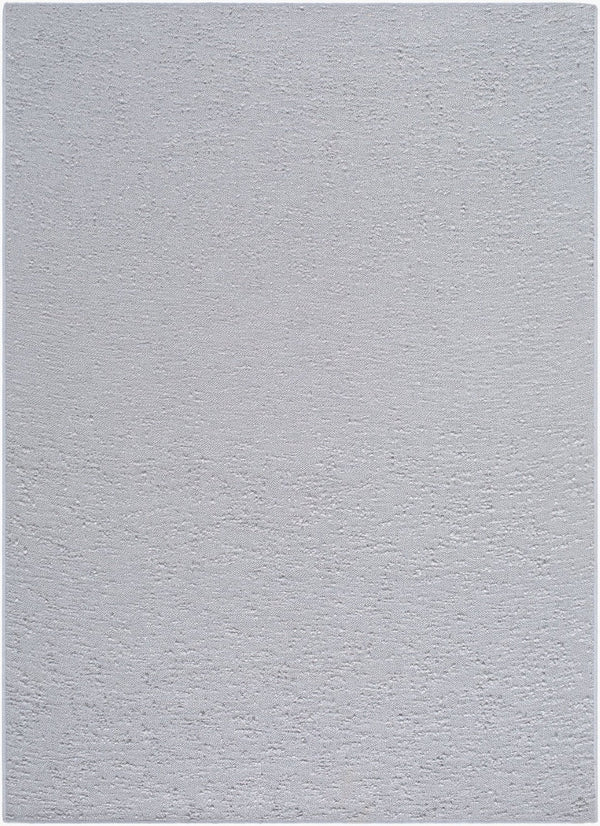 Livabliss Lush Handwoven Polyester Shag Accent Rug for Entryways Bathrooms and Bedside Areas Pewter' 27" x 45" LSH2307-2745