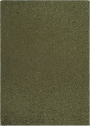 Livabliss Lush Handwoven Polyester Shag Accent Rug Soft Artisan Weave for Entryway or Bedroom Olive Green 3'6" x 5'6" LSH2308-3656