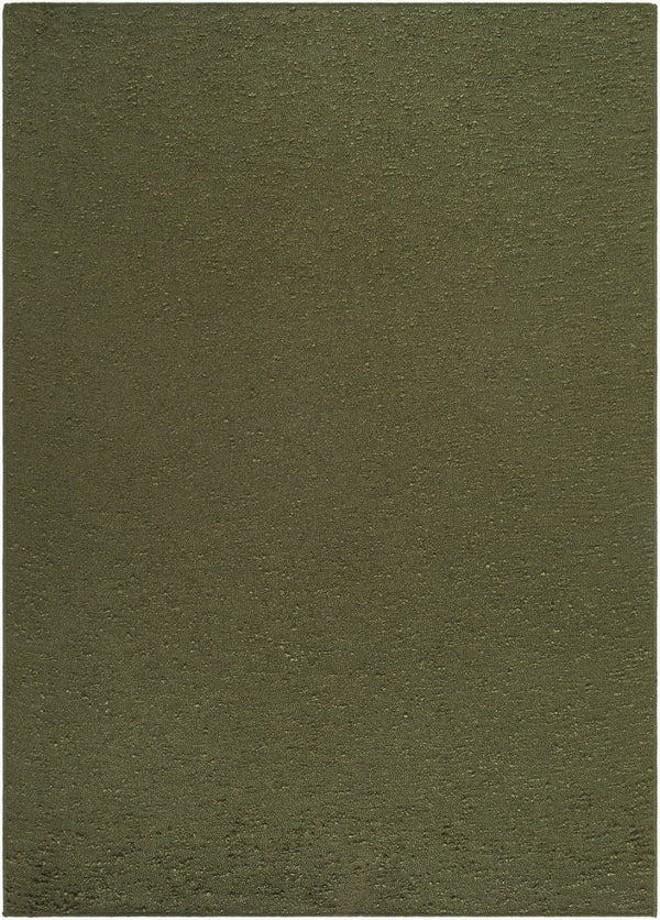 Livabliss Lush Handwoven Polyester Shag Accent Rug Soft Artisan Weave for Entryway or Bedroom Olive Green 3'6" x 5'6" LSH2308-3656