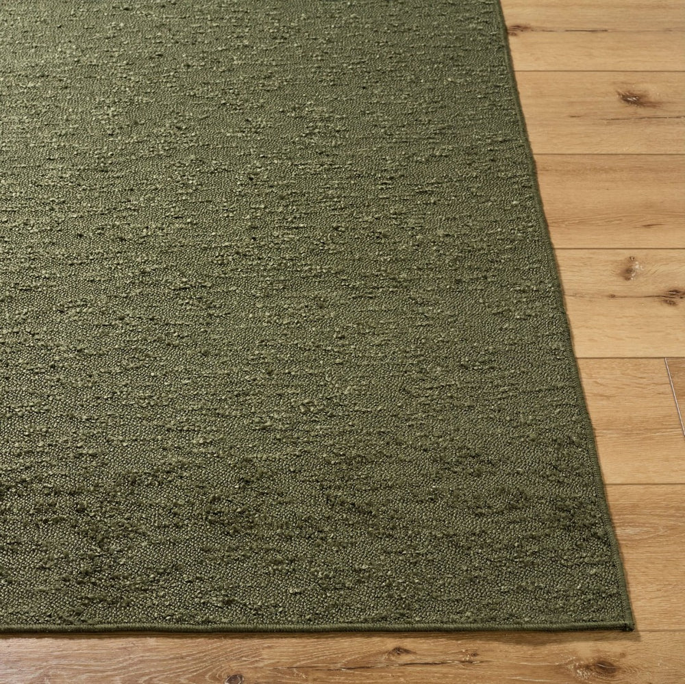 Livabliss Lush Handwoven Polyester Shag Accent Rug Soft Artisan Weave for Entryway or Bedroom Olive Green 3'6" x 5'6" LSH2308-3656