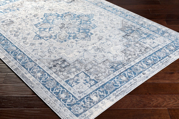 Livabliss Lustro Traditional Machine Woven Polyester Area Rug for Formal Living and Dining Rooms LSR2326-81012