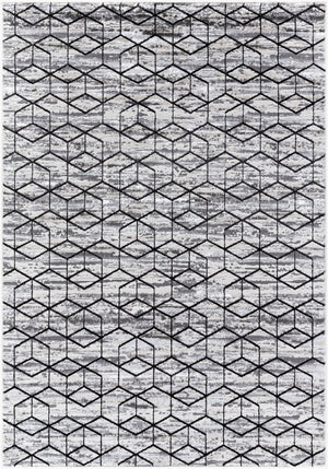 Livabliss Lustro Mid-century Modern Machine Woven Polypropylene Area Rug for Living Room Gray, Light Bei 7'10" x 10' LSR2333-71010