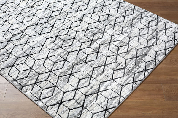 Livabliss Lustro Mid-century Modern Machine Woven Polypropylene Area Rug for Living Room Gray, Light Bei 7'10" x 10' LSR2333-71010