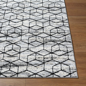 Livabliss Lustro Mid-century Modern Machine Woven Polypropylene Area Rug for Living Room Gray, Light Bei 7'10" x 10' LSR2333-71010