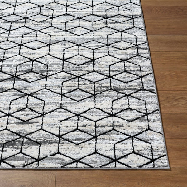 Livabliss Lustro Mid-century Modern Machine Woven Polypropylene Area Rug for Living Room Gray, Light Bei 7'10" x 10' LSR2333-71010