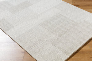 Las Palmas LSS-2301 9' x 12' Handmade Rug LSS2301-912  Ash, Light Silver, Warm Grey Surya
