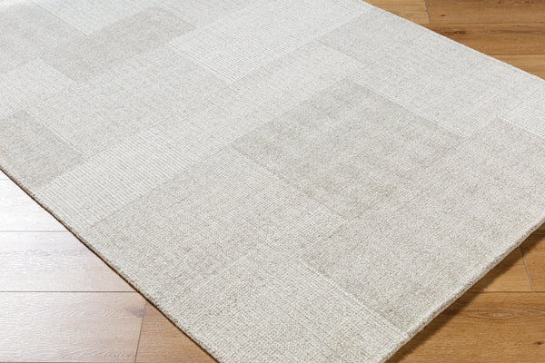 Las Palmas LSS-2301 9' x 12' Handmade Rug LSS2301-912  Ash, Light Silver, Warm Grey Surya