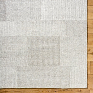 Las Palmas LSS-2301 9' x 12' Handmade Rug LSS2301-912  Ash, Light Silver, Warm Grey Surya