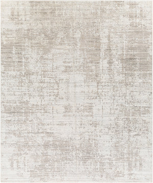 Lucknow LUC-2303 8' x 10' Handmade Rug LUC2303-810  Medium Gray, Oatmeal, Taupe, Charcoal Surya