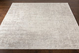 Lucknow LUC-2303 8' x 10' Handmade Rug LUC2303-810  Medium Gray, Oatmeal, Taupe, Charcoal Surya