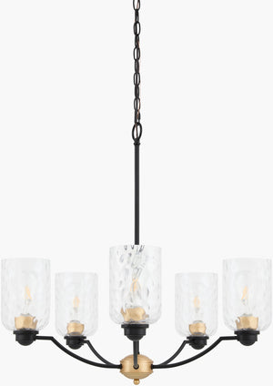 Livabliss Lugo Arts and Crafts Wrought Iron Chandelier with Glass Shades for Dining Rooms LUG-001