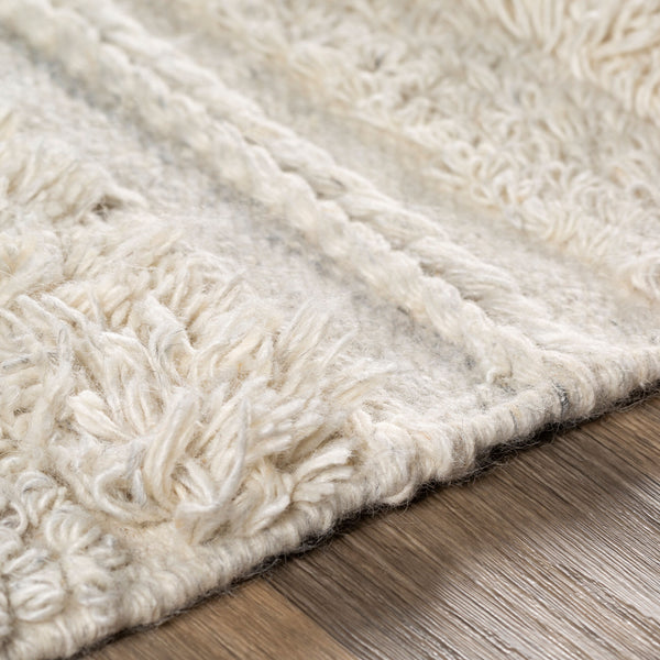 Surya Lugano 2' X 3' Handmade Bohemian Rug - Luxurious Viscose & Wool Blend With Charming Fringe Detail Gray Viscose,Wool Lug2302-23