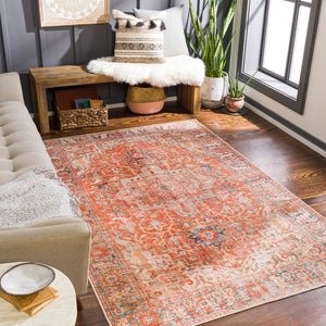 Livabliss Lavable Machine Woven Polyester Area Rug Low Pile Traditional Pattern Entryway Accent LVB2303-264