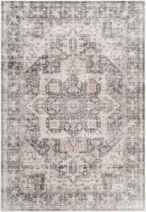 Livabliss Lavable Machine Woven Polyester Rug Traditional Low Pile for Entryways and Bathrooms Gray, Light Bei 2' x 2'11" LVB2308-23