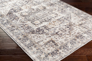 Livabliss Lavable Machine Woven Polyester Rug Traditional Low Pile for Entryways and Bathrooms Gray, Light Bei 2' x 2'11" LVB2308-23