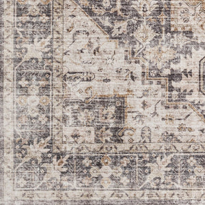 Livabliss Lavable Machine Woven Polyester Rug Traditional Low Pile for Entryways and Bathrooms Gray, Light Bei 2' x 2'11" LVB2308-23