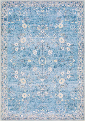 Livabliss Lavable Machine Woven Polyester Area Rug Easy Care Low Pile for Entryways and Kitchens Sky Blue, Ivory 2'7" x 4' LVB2311-264