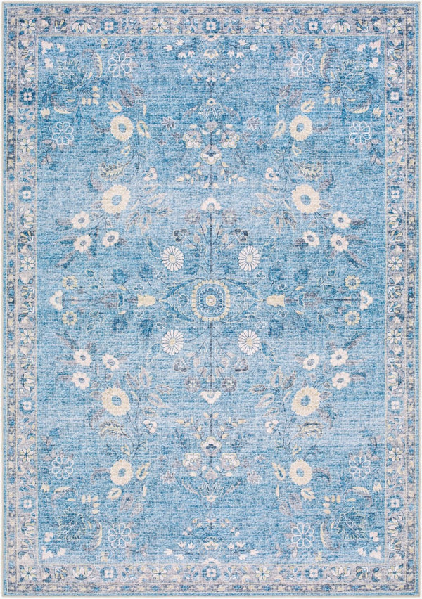 Livabliss Lavable Machine Woven Polyester Area Rug Easy Care Low Pile for Entryways and Kitchens Sky Blue, Ivory 2'7" x 4' LVB2311-264