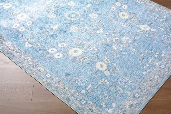 Livabliss Lavable Machine Woven Polyester Area Rug Easy Care Low Pile for Entryways and Kitchens Sky Blue, Ivory 2'6" x 8' LVB2311-268
