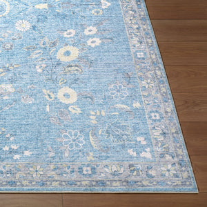 Livabliss Lavable Machine Woven Polyester Area Rug Easy Care Low Pile for Entryways and Kitchens Sky Blue, Ivory 2'6" x 8' LVB2311-268