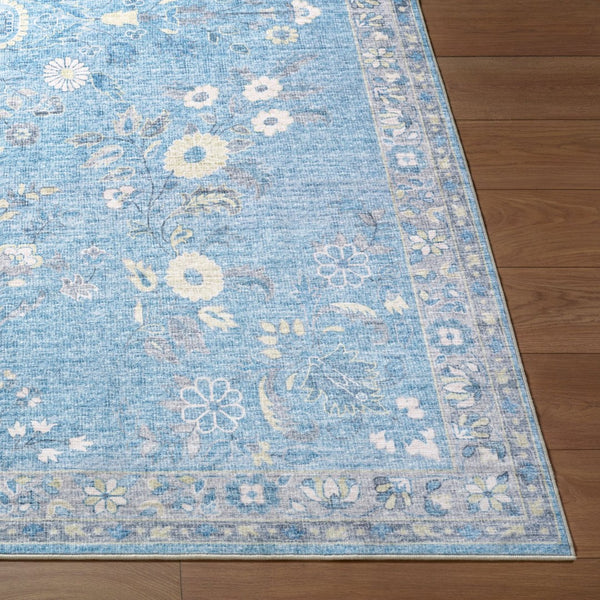 Livabliss Lavable Machine Woven Polyester Area Rug Easy Care Low Pile for Entryways and Kitchens Sky Blue, Ivory 2'6" x 8' LVB2311-268