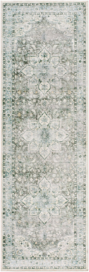 Livabliss Lavable Machine Woven Polyester Area Rug Low Pile Washable for Entryways and Hallways Seafoam, Sage 2'6" x 8' LVB2313-268