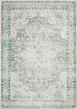 Livabliss Lavable Machine Woven Polyester Area Rug Low Pile Washable for Entryways and Hallways Seafoam, Sage 3'6" x 5'6" LVB2313-3656