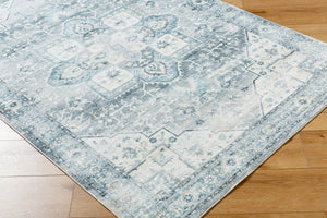 Livabliss Lavable Machine Woven Polyester Area Rug Low Pile Washable Living Room Floor LVB2318-7696
