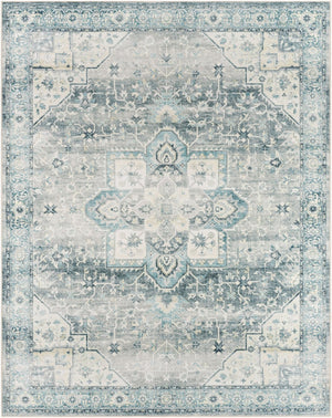 Livabliss Lavable Machine Woven Polyester Area Rug Low Pile Washable Living Room Floor LVB2318-7696