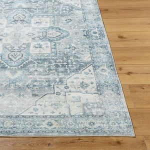 Livabliss Lavable Machine Woven Polyester Area Rug Low Pile Washable Living Room Floor LVB2318-7696