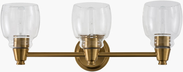 Livabliss Levene Iron and Glass Wall Sconce Industrial Vanity Light for Bathroom or Hallway LVN-002