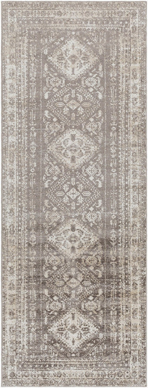 Livabliss Lavadora Machine Woven Polyester Runner Rug Traditional Style for Hallway or Entryway LVR2302-2773
