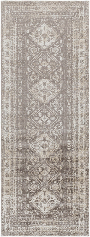 Lavadora LVR-2302 2'7" x 7'3" Machine Woven Rug LVR2302-2773 Livabliss Surya