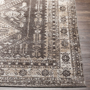 Livabliss Lavadora Machine Woven Polyester Runner Rug Traditional Style for Hallway or Entryway LVR2302-2773