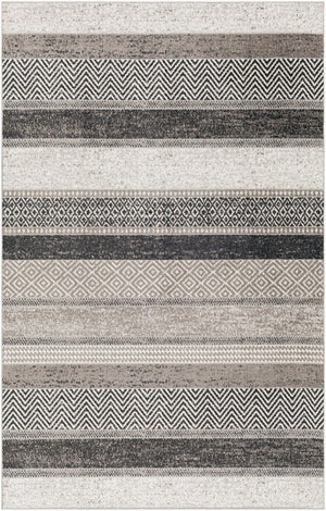 Livabliss Lavadora Geometric Machine Woven Polyester Area Rug for Living Room or Entryway LVR2304-537