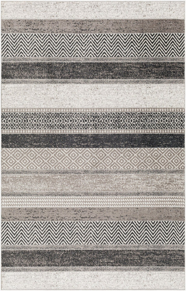 Livabliss Lavadora Geometric Machine Woven Polyester Area Rug for Living Room or Entryway LVR2304-537