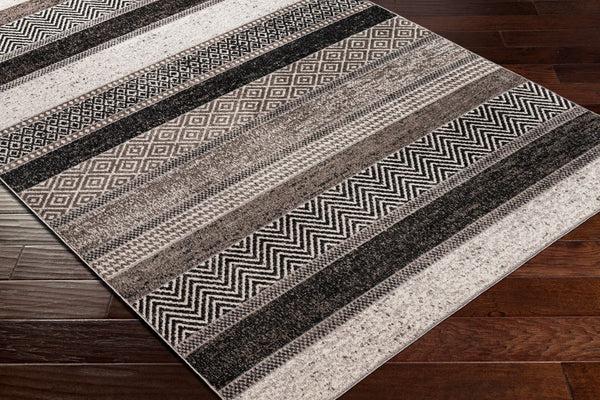 Livabliss Lavadora Geometric Machine Woven Polyester Area Rug for Living Room or Entryway LVR2304-537