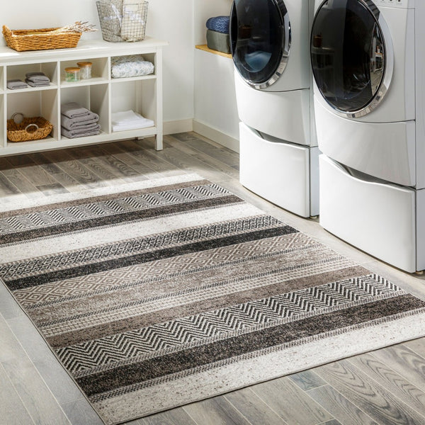 Livabliss Lavadora Geometric Machine Woven Polyester Area Rug for Living Room or Entryway LVR2304-537