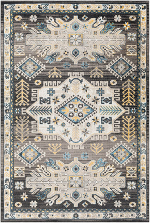 Livabliss Lavadora Traditional Machine Woven Polyester Area Rug for Living and Dining Rooms LVR2307-71010