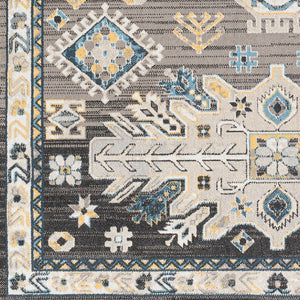 Livabliss Lavadora Traditional Machine Woven Polyester Area Rug for Living and Dining Rooms LVR2307-71010