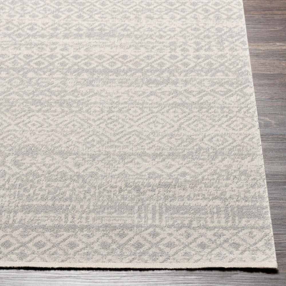 Livabliss Lavadora Lvr-2319 Bohemian Global Machine Woven Polyester Runner Rug for Hallways Gray, Light Gra 2'7" x 7'3" LVR2319-2773